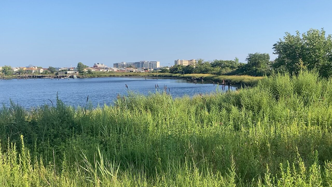 NYC National Parks: Garden Loop Trail @ Jamaica Bay Wildlife Refuge (Broad Channel, Queens) 2