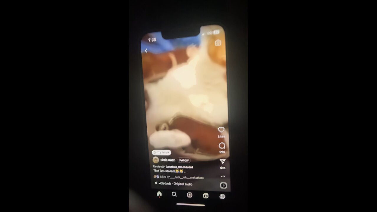 Cat caught assaulting female lol 2023
