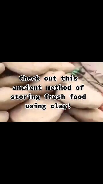 Ancient Method of Storing Food Inside Clay Shells - HaloRockNews