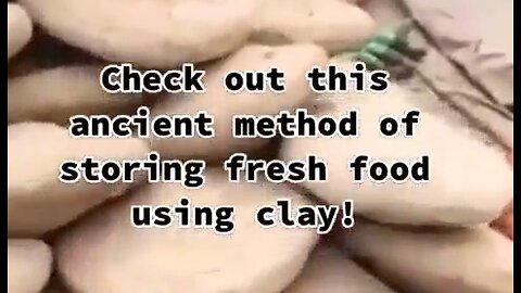 Ancient Method of Storing Food Inside Clay Shells - HaloRockNews