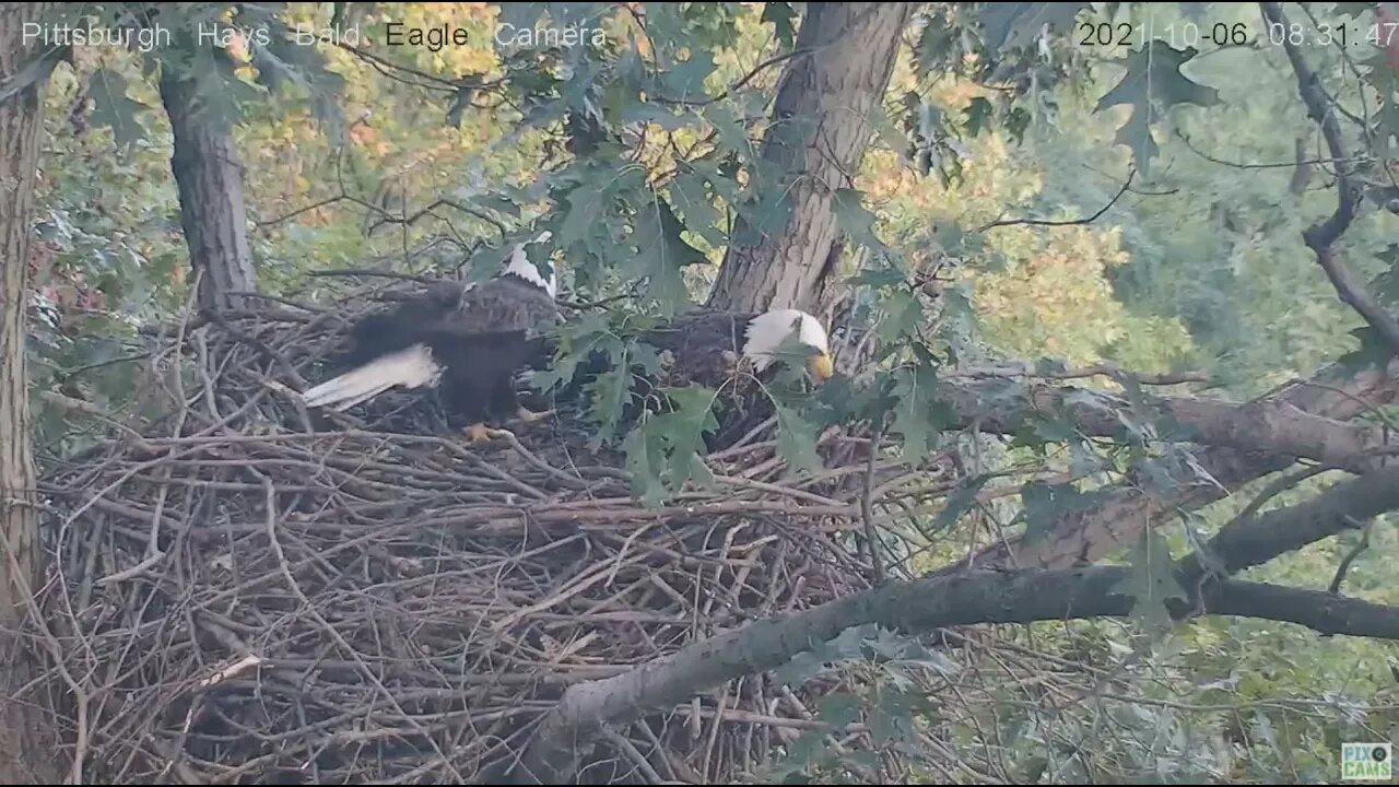 Hays Eagles Mom stick overboard 2021 10 06 8:31:52
