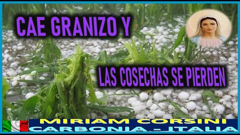 CAE GRANIZO Y LAS COSECHAS SE PERDERAN - MENSAJE DE MARIA SANTISIMA A MIRIAM CORSINI 29 MARZO 2022