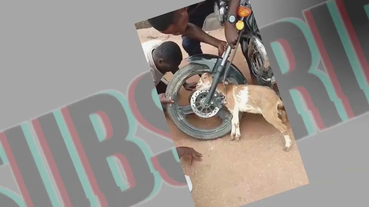 accident in the road side effects