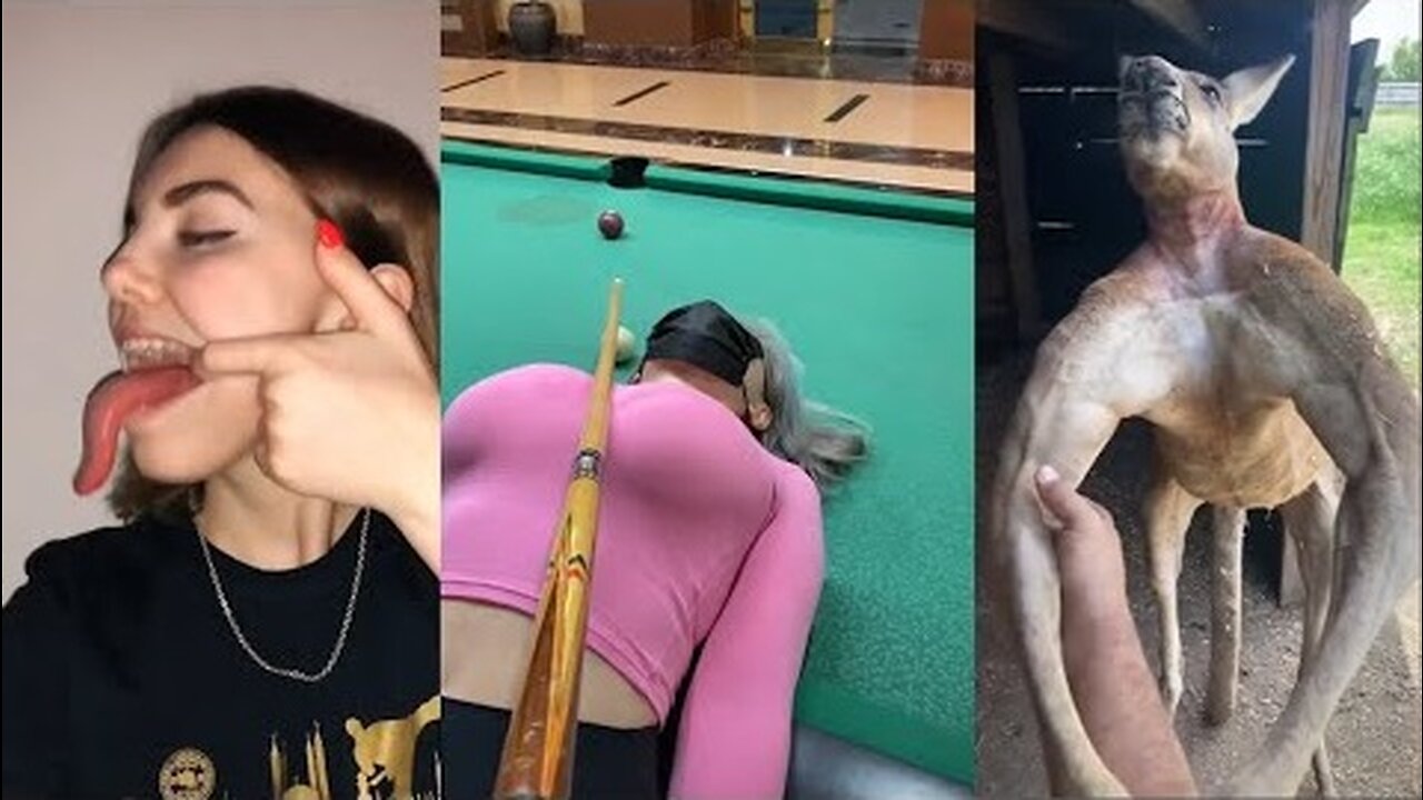 LIKE A BOSS COMPILATION 210