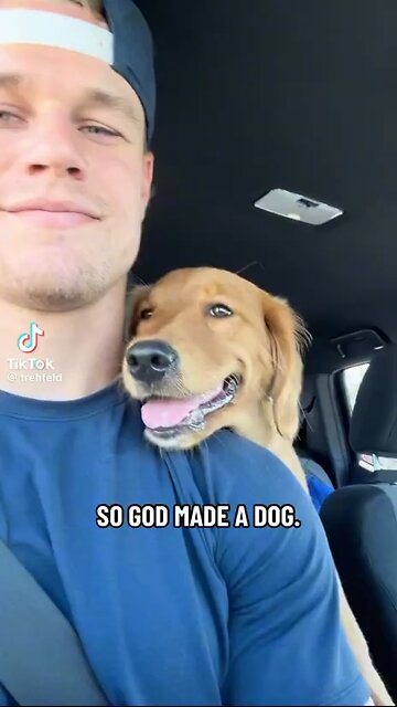 So GOD made a Dog