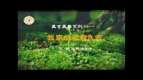 真相视频：真言真事系列（11）我家的救命良方 2021.01.12