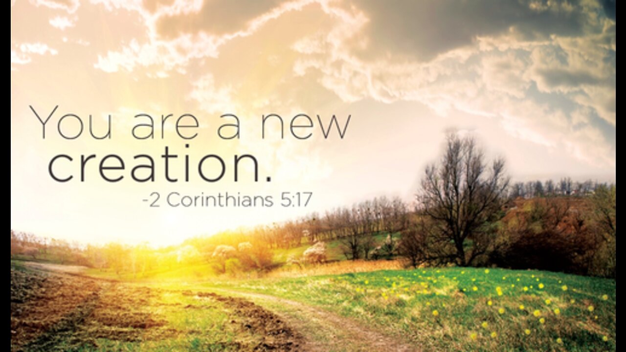 RESURRECTION GROUND B-238