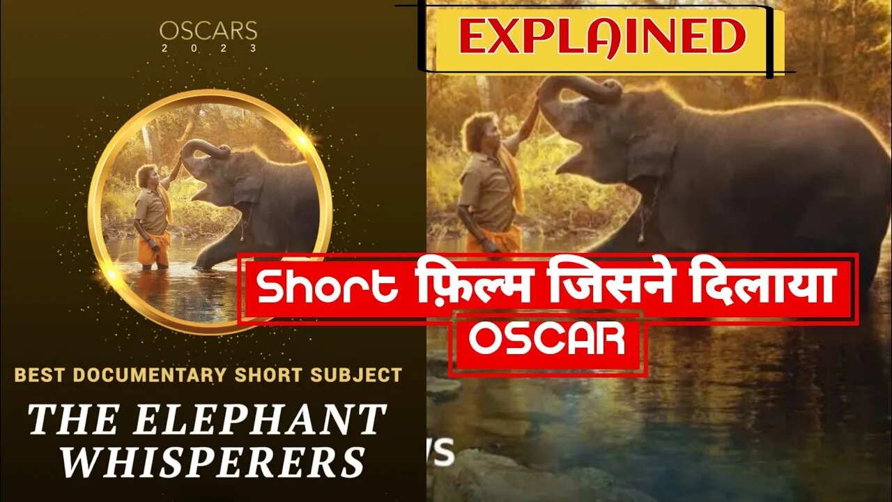 The Elephant Whisperers (2022) | OSCAR Winning Documentary | #trending #oscar #theelephantwhisperers