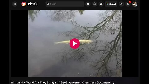 WHAT THE WORLD ARE THEY SPRAYING ON US? GEOENGINEERING CHEMTRAIL DOCUMENTARY