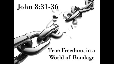 These Are Written: True Freedom, in a World of Bondage