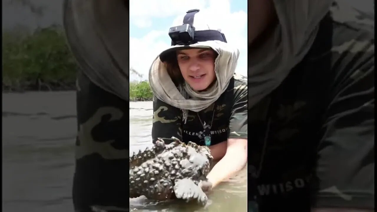 The Most VENOMOUS Fish in the World! 🤯🤩 #shorts