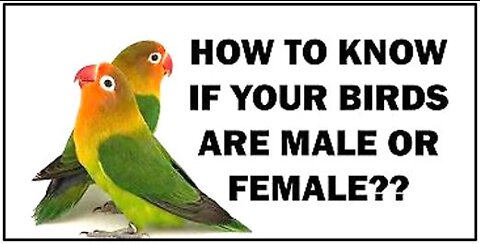 How to Gender your Birds