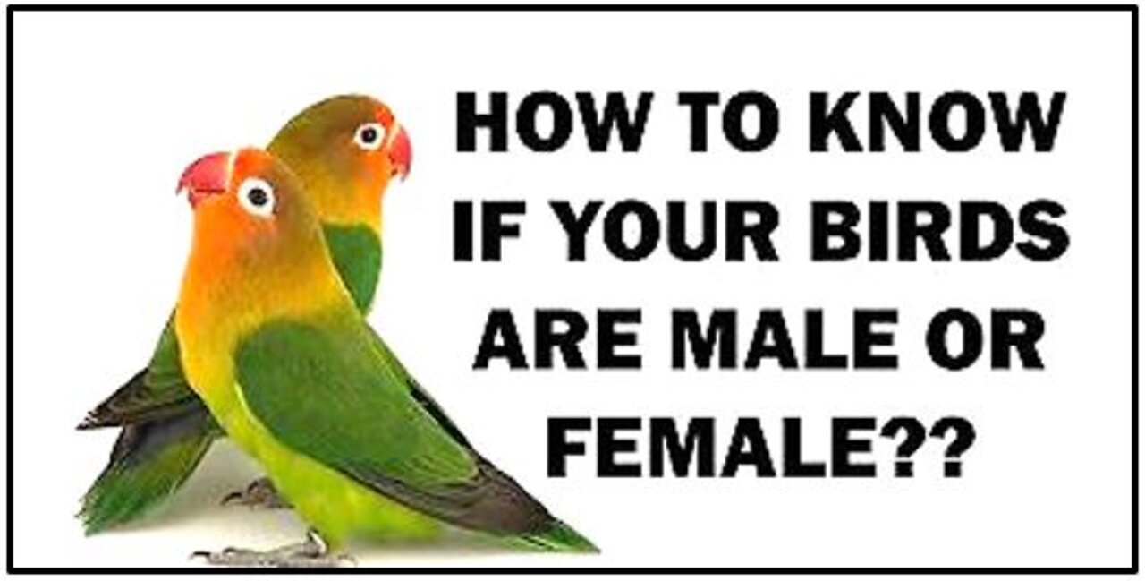 How to Gender your Birds