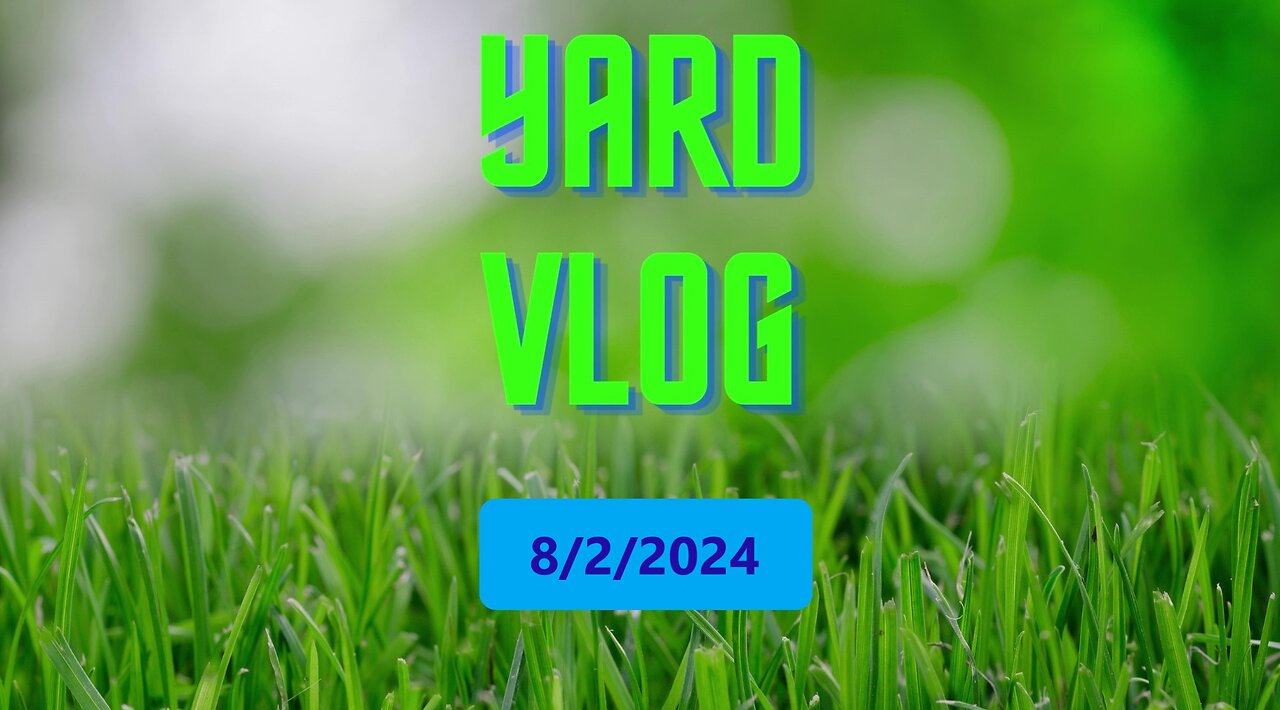 Yard Vlog 8/2/24