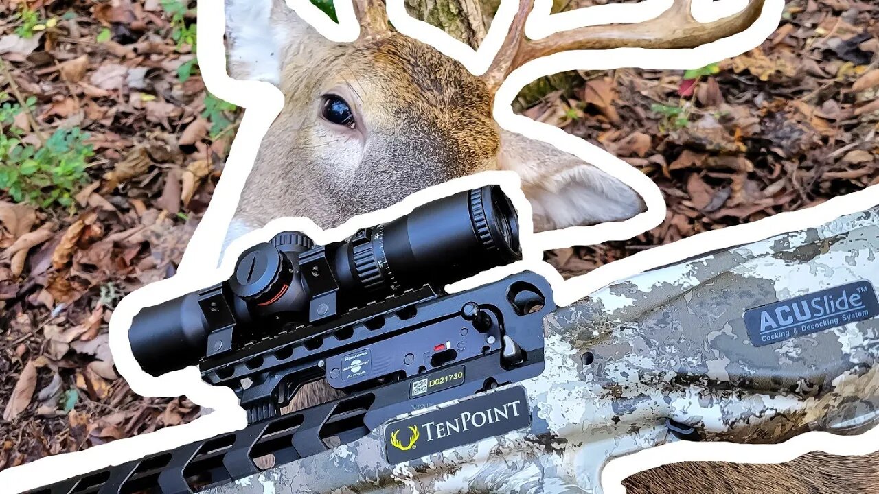 Crossbow vs TN Whitetail Buck!!! 🦌🦌🦌 TenPoint Viper S400