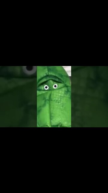 Amigo Pet Animais Engraçados Funny Animals Channel #gato#cachorros#animais #cats#dogs#shorts