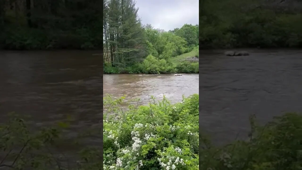 North Fork New River Flooding 2022