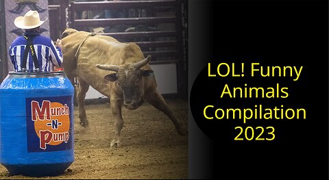 Hilarious Animal Moments of 2023 | Funny Animals Compilation