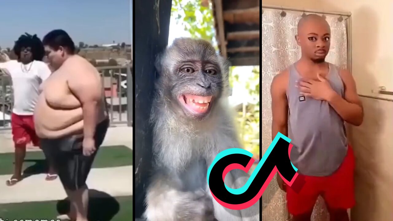 BEST TIK TOK COMPILATION #2 MAKE YOUR DAY 2023 | Let's have some fun with memes🔥