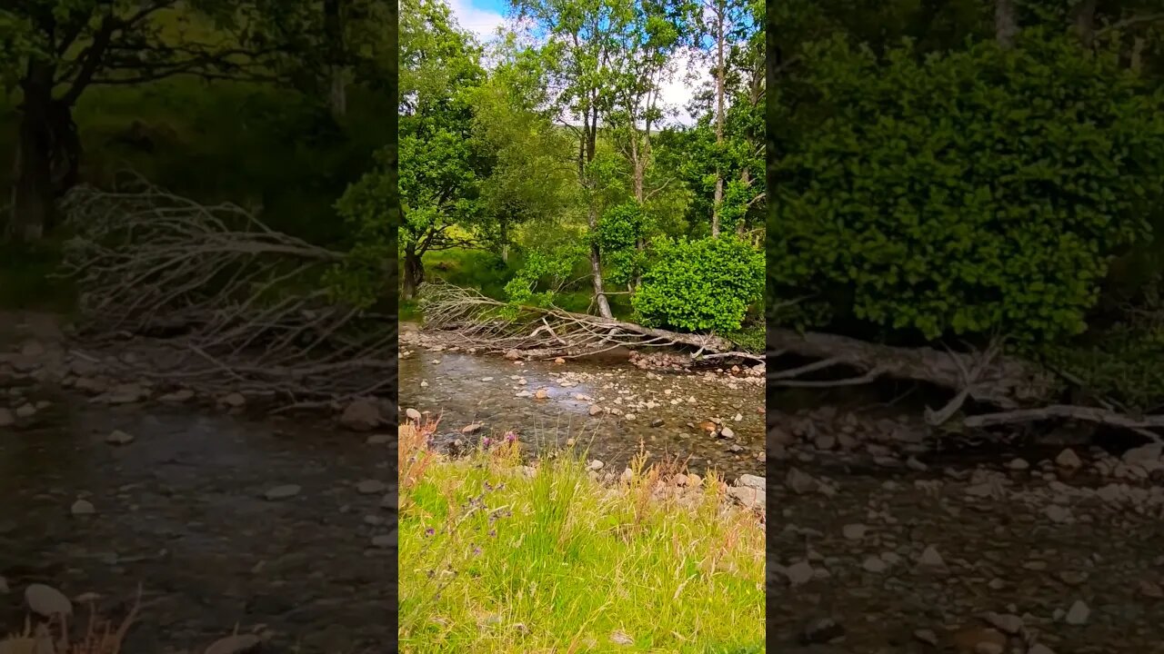River Falloch on The West Highland Way Scotland #westhighlandway