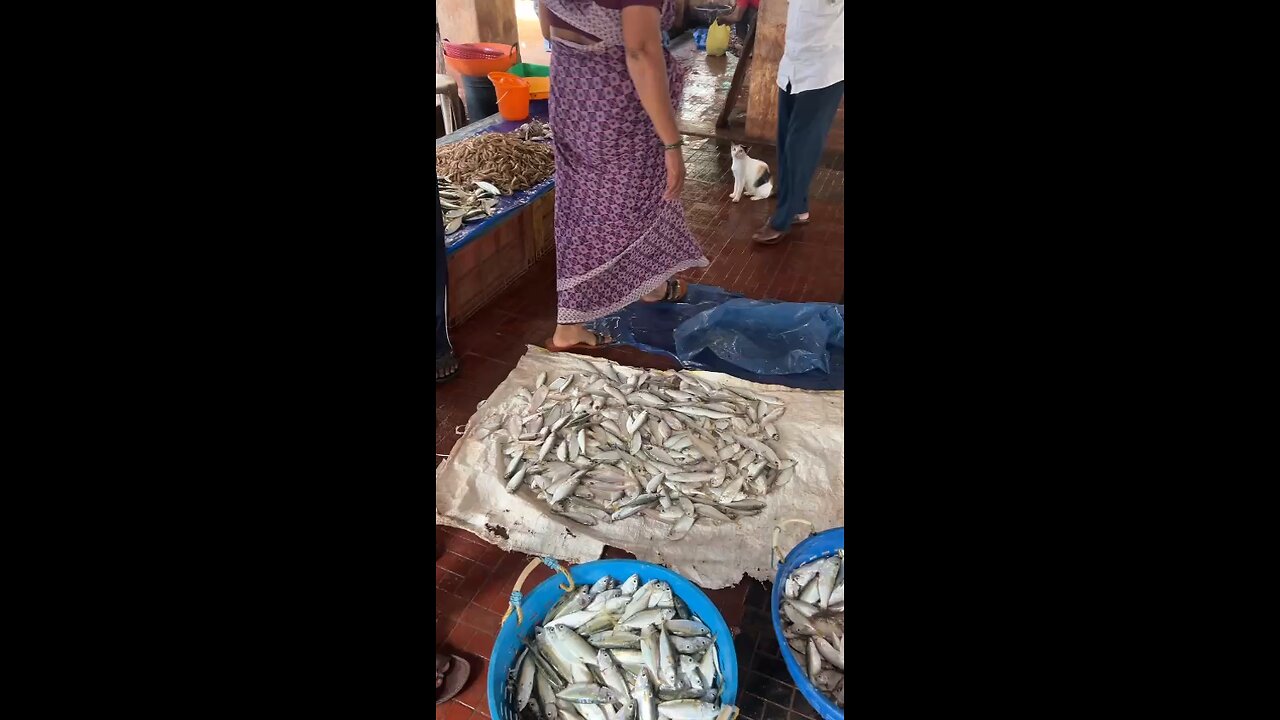 fish market in India