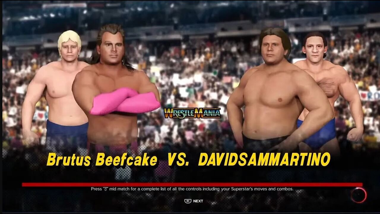 Wrestlemania 1 - Part 4 - Brutus Beefcake vs David Sammartino