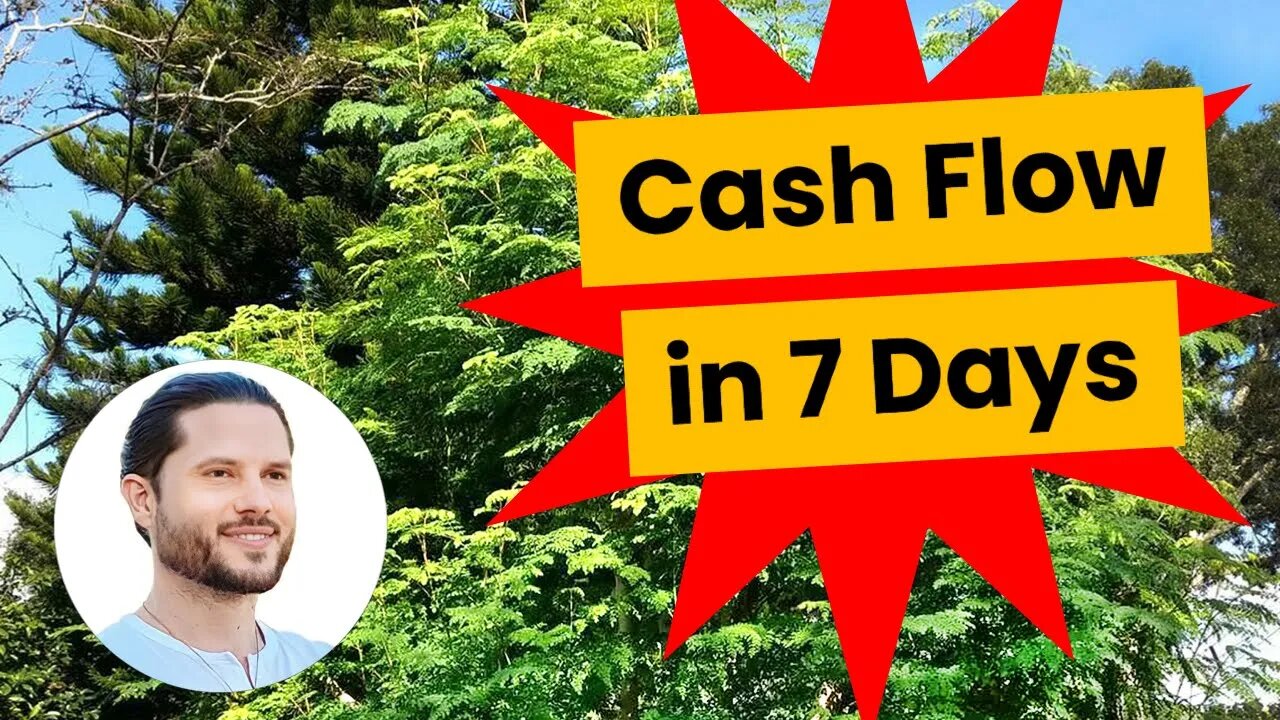 The Secret to Moringa Cash Flow in 7 Days Harvesting Other People's Properties