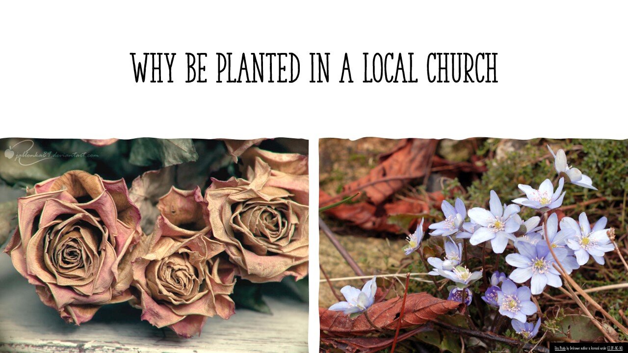 Why Be Planted In A Local Church - Pastor Jeff Payton