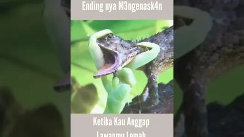 Ketika Prisai sudah digunakan.