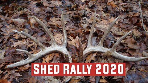 Shed Hunting - Shed Rally 2020