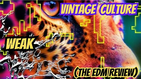 VINTAGE CLUB WEAK (REVIEW)