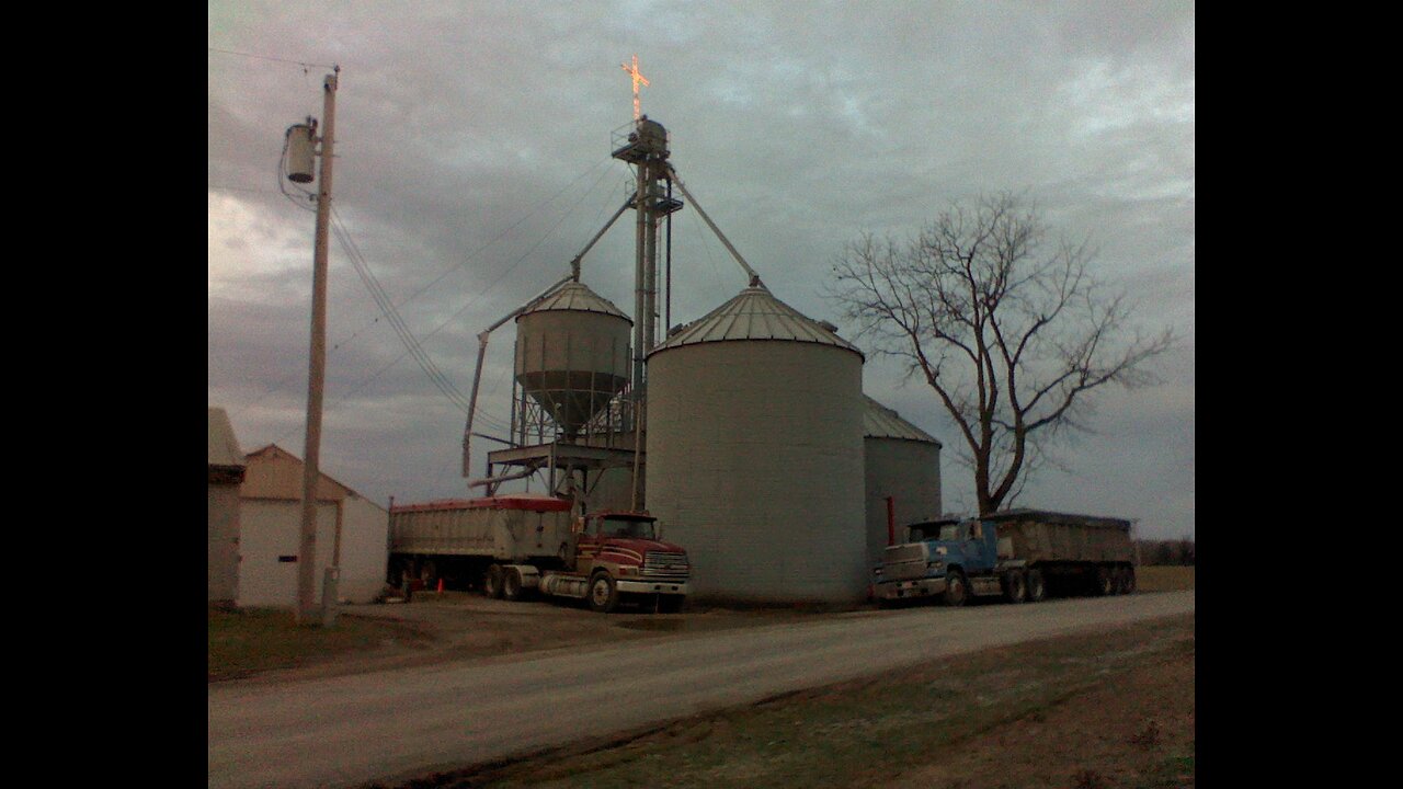 Corn Harvest Fall 2024 view from combine