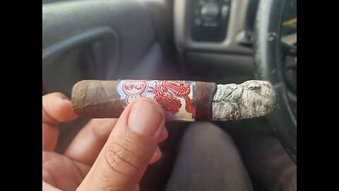 Punch Dragon Fire 2024 Year of the Dragon Cigar Review