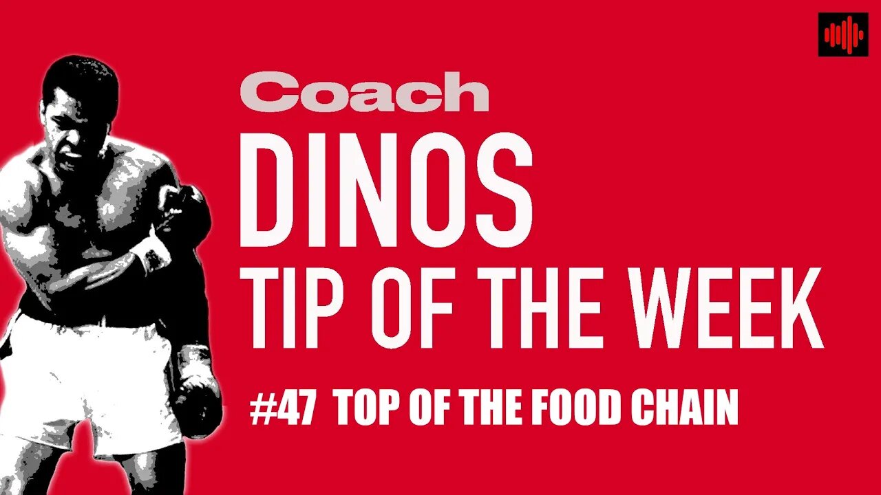 DINO'S BOXING TIP OF THE WEEK #47 TOP OF THE FOOD CHAIN