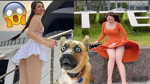 Funniest videos for cats and dogs in 2023