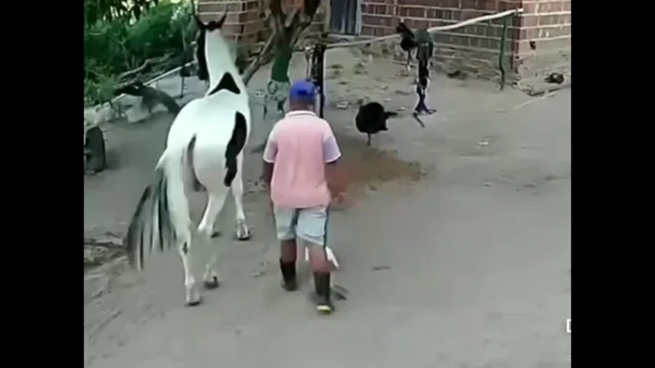 funny moment #reaction #youtubeshorts #shorts