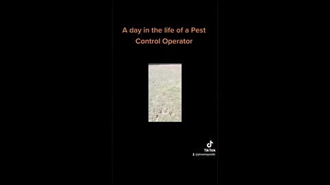 14 A day in the life of a Pest Control Operator #whatbugsme | Phoenix Pest Control