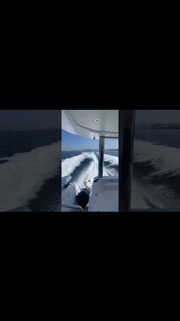 #shorts #2022 funny,prank,funjokes,dad jokes,funny memes,funny video,fun,laughing,funny animal,knock