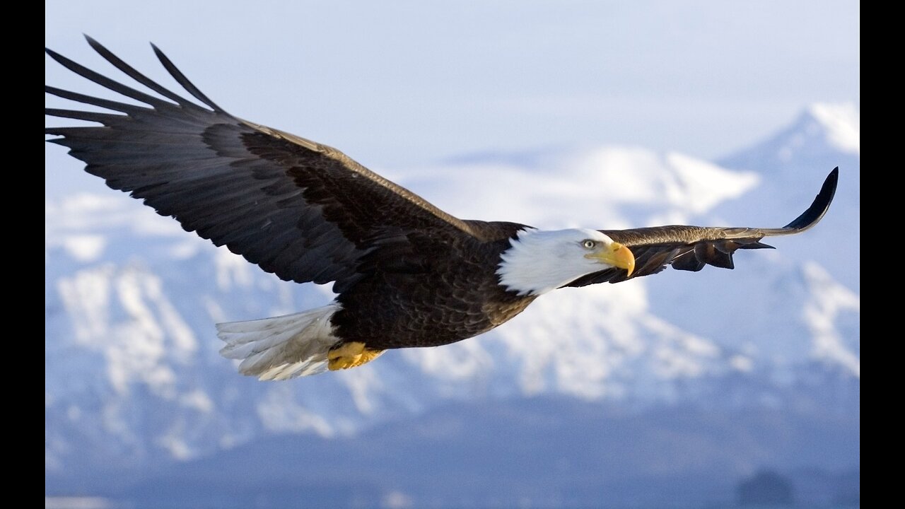 FLY LIKE AN EAGLE--STEVE MILLER BAND