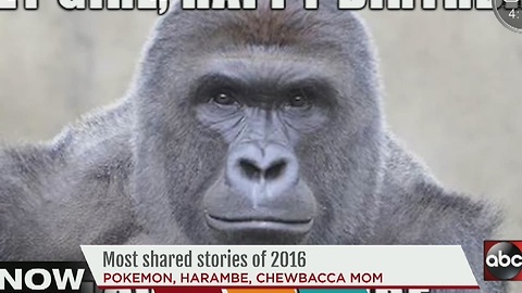 The most shared stories of 2016