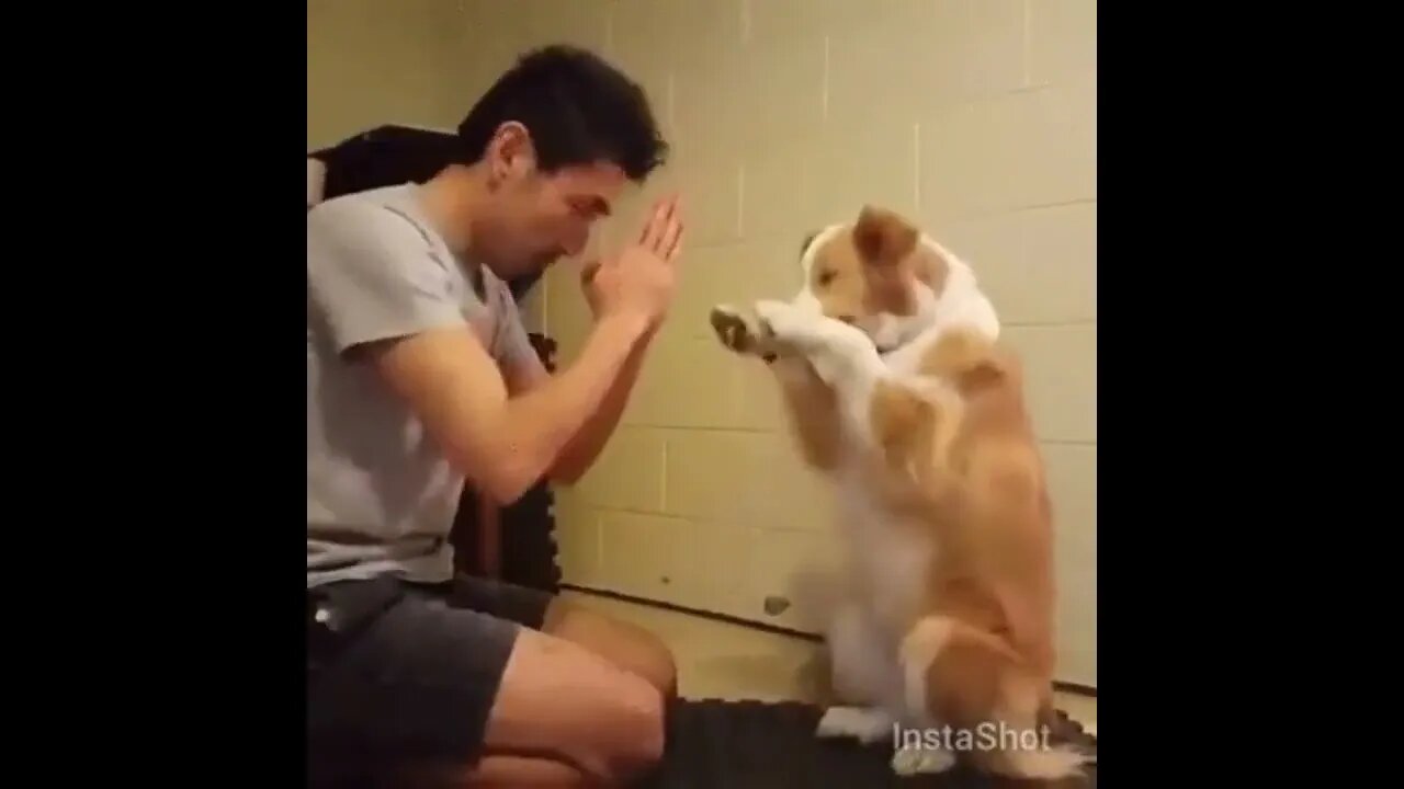 In Japan, we don't shake hands, we bow