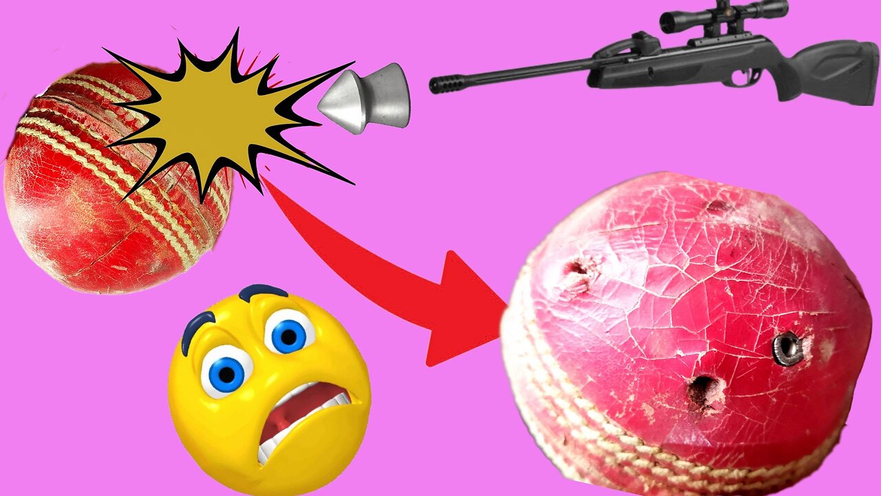 Pellet Gun Shoot VS Cricket Ball