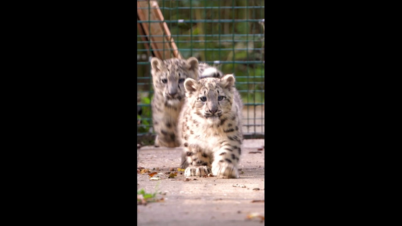 Cute family