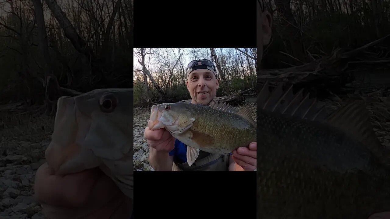 Roadside creek had a TANK of a smallmouth!