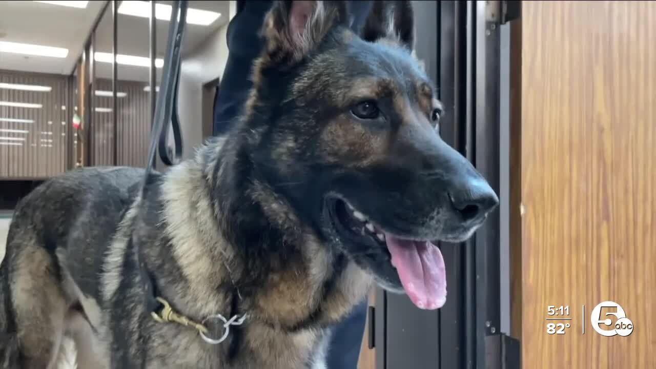 Future of police K-9 causes controversy in Bedford Heights