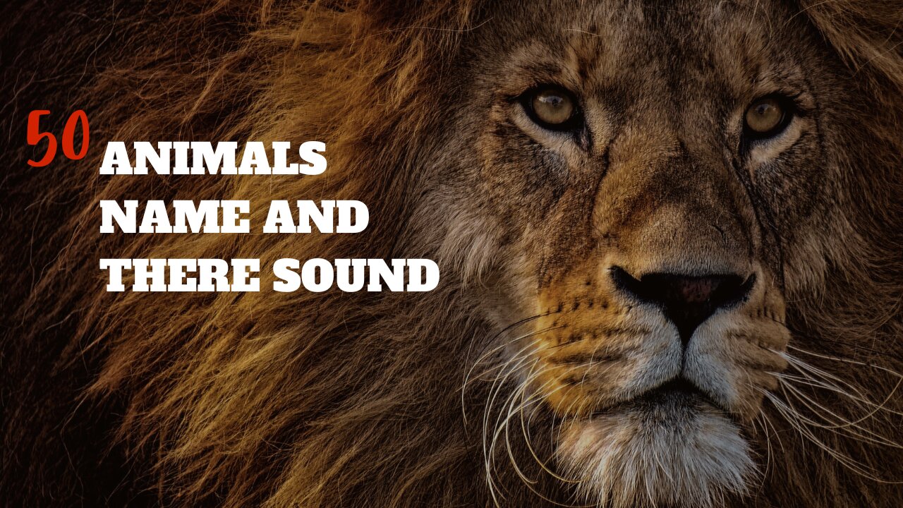 "Symphony of the Animal Kingdom: 50 Fascinating Creatures and Their Melodic Calls"