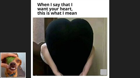 Memes That Will 99.917% Make You Laugh. (e142)