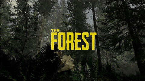 Лесная стройка!! The forest