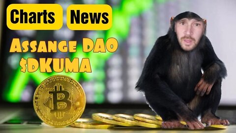 Charts, News, BTC PUMP Lets Analyze it, $Dkuma, Assange DAO