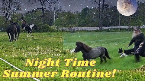 Our Night Time Summer Routine With Our Horses! Doesn't Always Go Well!